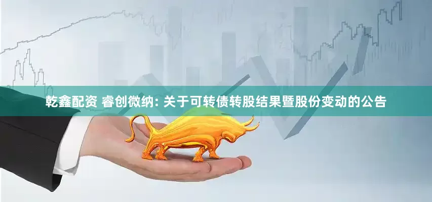 乾鑫配资 睿创微纳: 关于可转债转股结果暨股份变动的公告