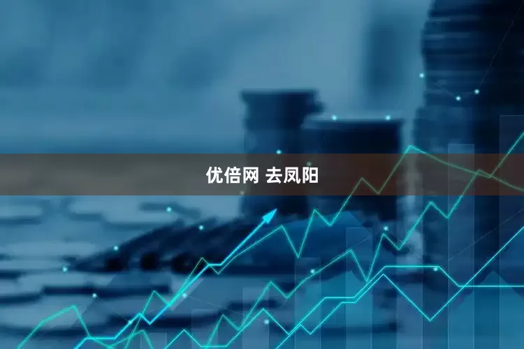 优倍网 去凤阳
