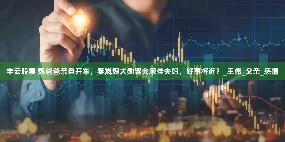 丰云股票 魏爸爸亲自开车，秦岚魏大勋聚会宋佳夫妇，好事将近？_王伟_父亲_感情