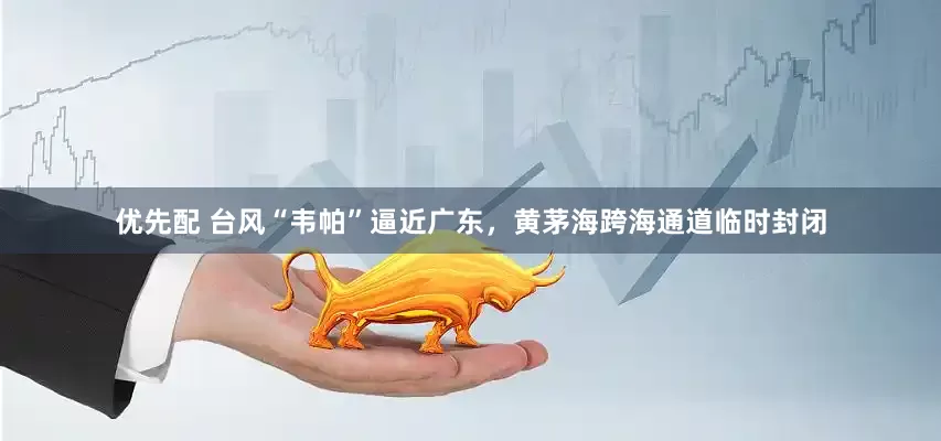 优先配 台风“韦帕”逼近广东，黄茅海跨海通道临时封闭
