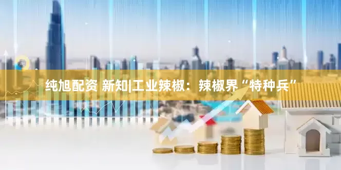 纯旭配资 新知|工业辣椒：辣椒界“特种兵”
