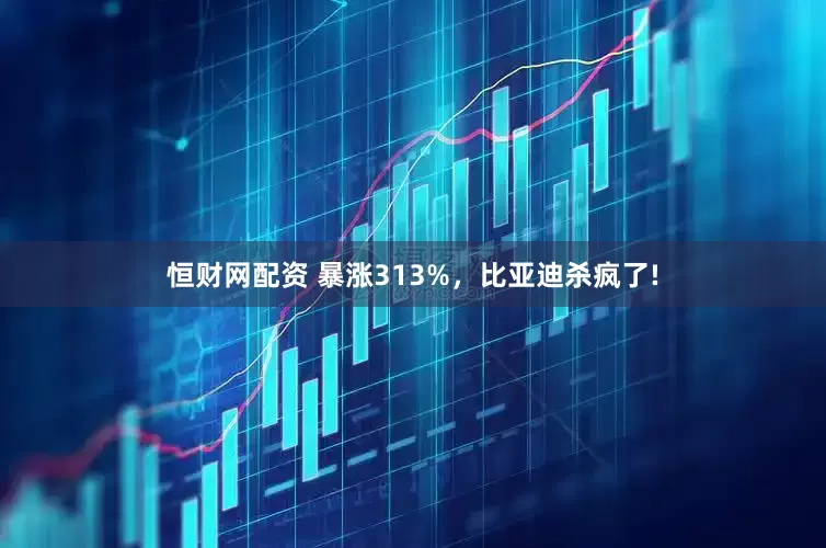 恒财网配资 暴涨313%，比亚迪杀疯了!