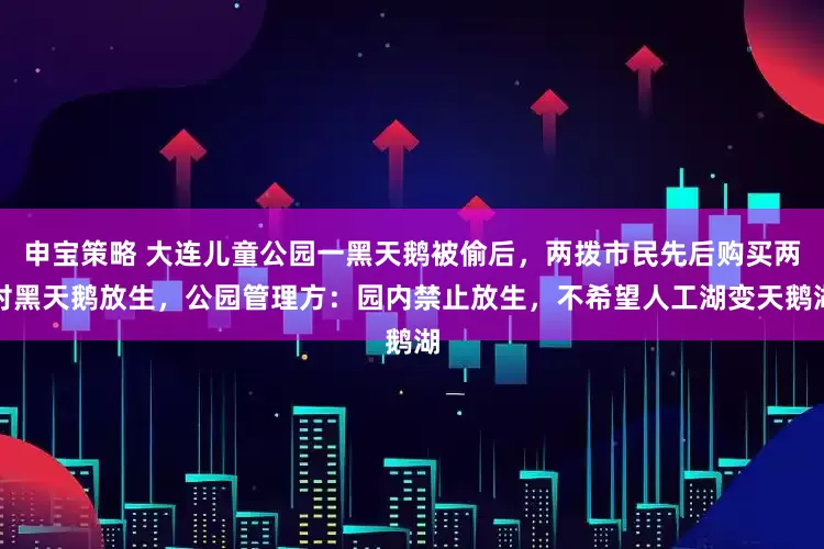 申宝策略 大连儿童公园一黑天鹅被偷后，两拨市民先后购买两对黑天鹅放生，公园管理方：园内禁止放生，不希望人工湖变天鹅湖