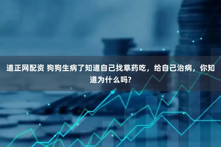 道正网配资 狗狗生病了知道自己找草药吃，给自己治病，你知道为什么吗?